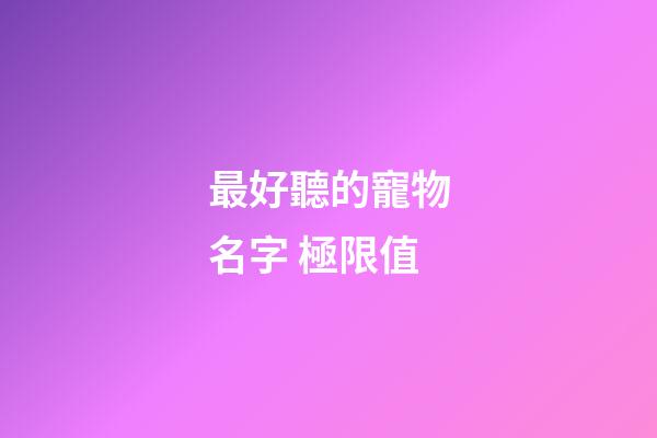 最好聽的寵物名字 極限值